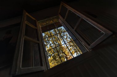 Avludaki büyük, güzel bir meşe ağacının açık, ahşap penceresinden içeriye doğru.