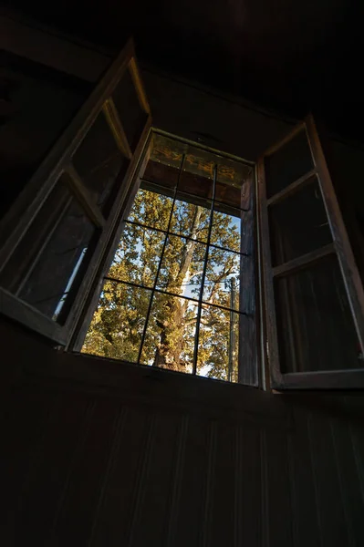 Inomhus Genom Öppen Grunge Träfönster Stor Vacker Gården — Stockfoto