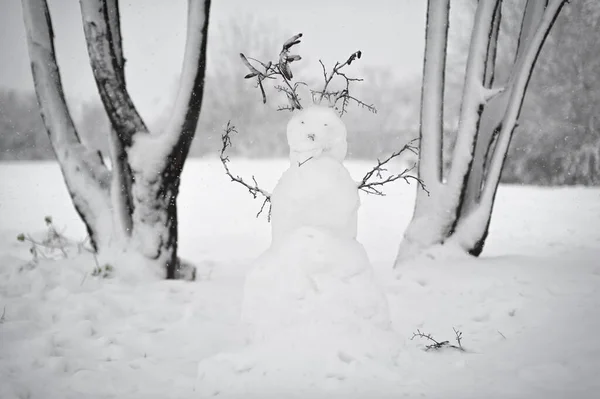 Gefrorene Winter Niedlichen Schneemann Auf Dem Schneeweißen Feld Zwischen Frostigen — Stockfoto