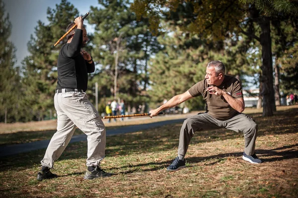 Escrima Instructor Kapap Demuestran Palos Técnicas Lucha Métodos Entrenamiento Parque — Foto de Stock