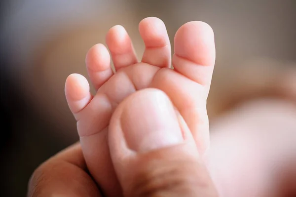 Close Detail Macro View Father Thumb Baby Small Foot Macro — Stockfoto