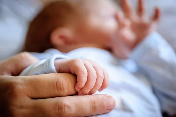 Zbliżenie Makro Widok Dziecka Trzymającego Palec Mamy Jego Małą Rączką — Zdjęcie stockowe