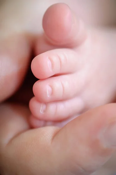 Close Detail Mother Holding Cute Soft Baby Small Leg Her — Stockfoto