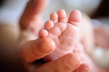 Annenin elinde şirin ve yumuşak bir bebek bacağı tuttuğunun yakın çekimi. Tatlı bebek ayak parmaklarının makro soyut görüntüsü. Yumuşak çocuk derisi. Aşk ve aile duyguları