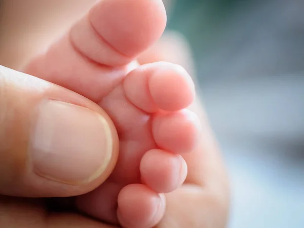 Close Detail Macro View Father Thumb Baby Small Foot Macro — Stockfoto
