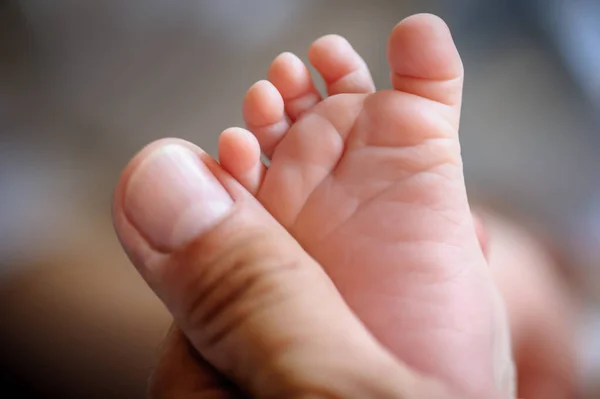 Close Detail Macro View Father Thumb Baby Small Foot Macro — Stockfoto