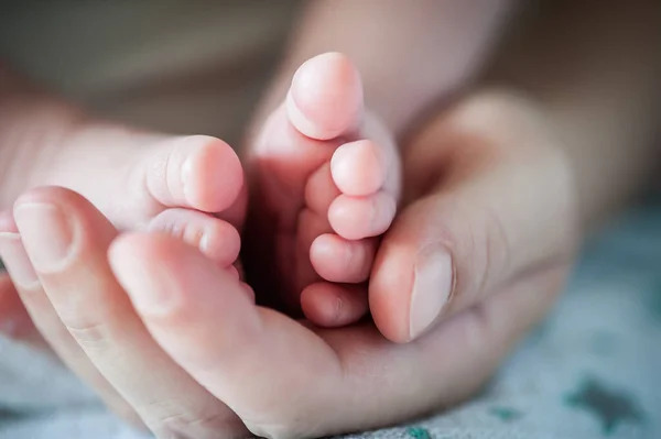 Close Detail Parent Holding Cute Soft Baby Small Leg His — Zdjęcie stockowe