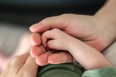 Close-up detail macro view of parent holding baby little hand in his big hand. Soft child skin. Love and family emotion