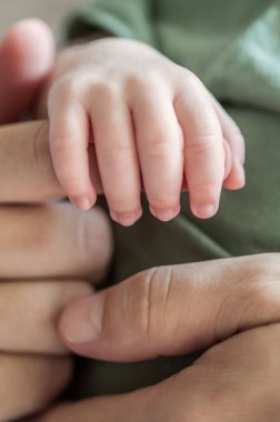 Close-up detail macro view of baby holding on to parent finger with his little hand. Soft child skin. Love and family emotion