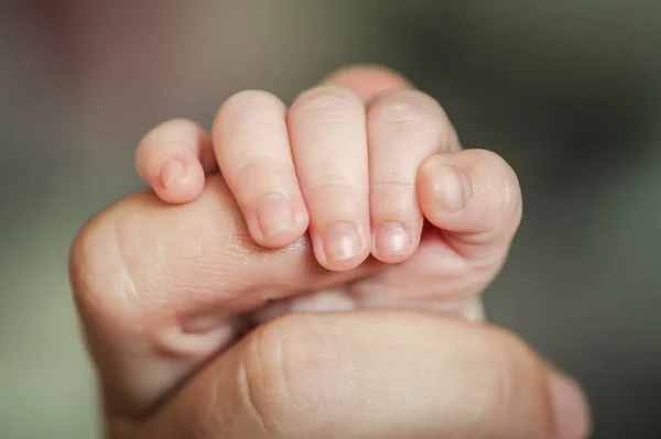 Close Detail Macro View Baby Holding Parent Finger His Little — Stockfoto