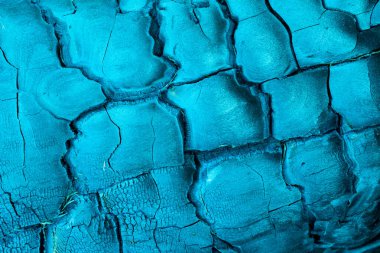 kömürleşmiş ahşap makro fotoğrafın arkaplanı