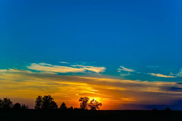 Panorama Coucher Soleil Coucher Soleil Sur Une Forêt Pologne — Photo