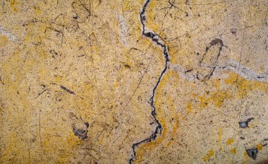 Taş zemin zemin zemin, makro fotoğraf