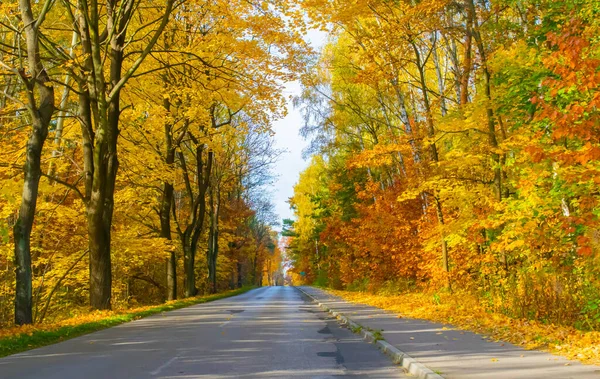 Cálida Vista Otoño Carretera Desde Coche Movimiento — Foto de Stock