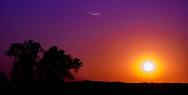 Panorama Del Atardecer Puesta Sol Sobre Bosque Polonia —  Fotos de Stock