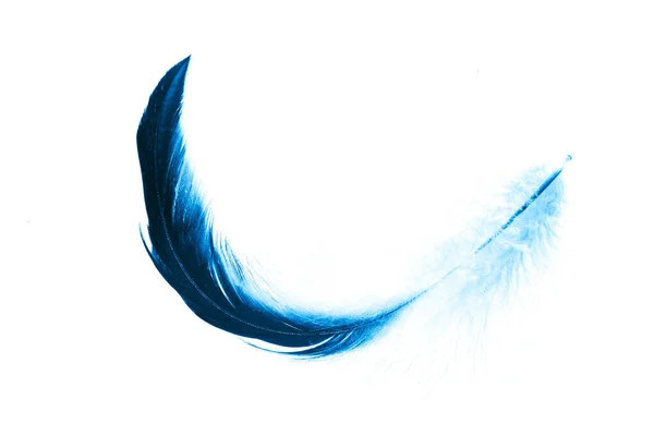 蓝色的羽毛 在白色的背景上隔离 — 图库照片