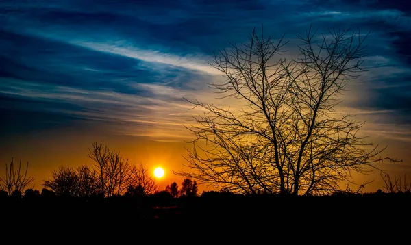 Céu Panorama Pôr Sol Por Sol Sobre Uma Floresta Polônia — Fotografia de Stock