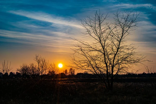 Zachód Słońca Panorama Nieba Zachód Słońca Nad Lasem Polsce — Zdjęcie stockowe