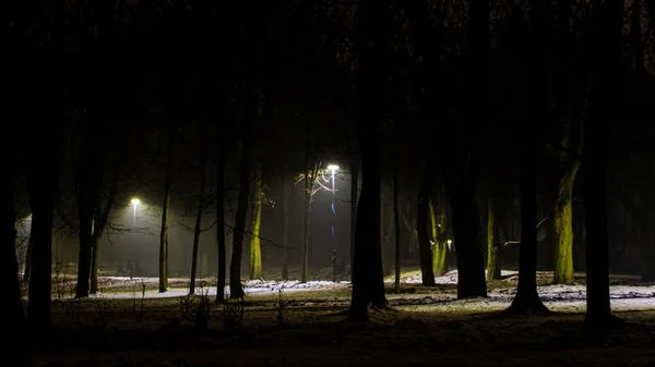 Park Miejski Nocy Zimą — Zdjęcie stockowe