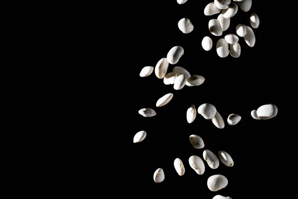 Kacang Putih Pada Latar Belakang Hitam — Stok Foto