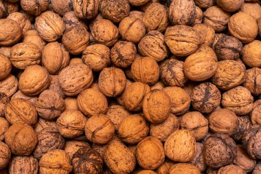 ceviz arka planı. kabuk olarak fındık arkaplan