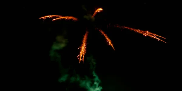 Palm Star Type Fireworks Isolated — Zdjęcie stockowe