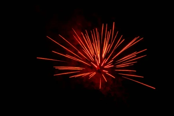 야자나무나 모양의 불꽃놀이가 떨어져 — 스톡 사진