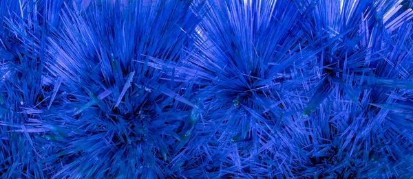 Background Texture Crystal Needles Stock Photo