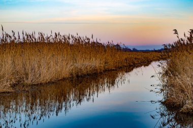Bataklık manzarası, nehir ve sazlıklar gün batımından önce