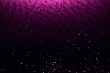 yansıtıcılı mor su aynası