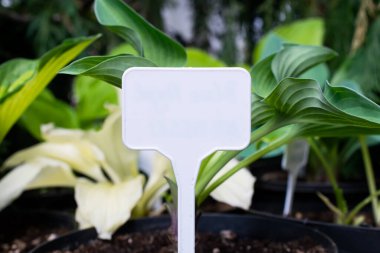 metin için boşluk içeren beyaz bilgi plakası