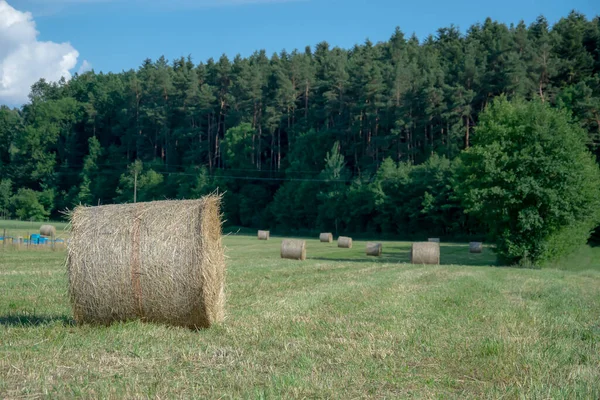 Heuballen Auf Der Wiese — Stockfoto