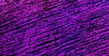 kaba metal kaplama arka plan. doku