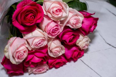 Çiçek açan güzel güller, yakın plan.