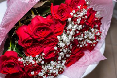 Çiçek açan güzel güller, yakın plan.