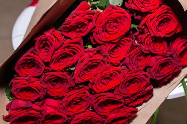 Çiçek açan güzel güller, yakın plan.