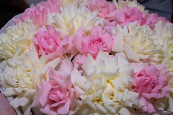 Piękny Bukiet Kwitnących Róż Zbliżenie — Zdjęcie stockowe