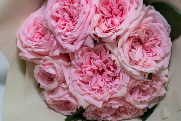 Gyönyörű Csokor Virágzó Rózsa Közelkép — Stock Fotó
