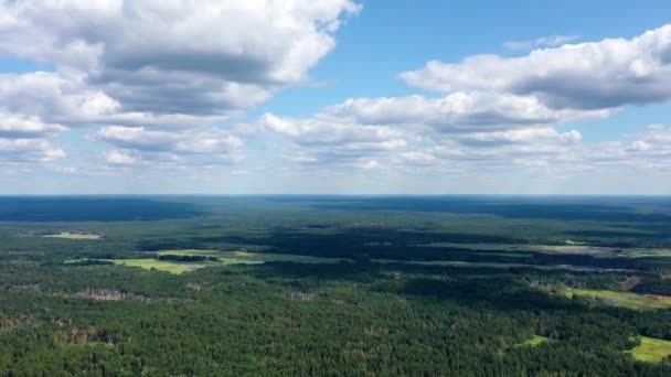 夏の風景や夏の空の超高層航空ビュー 川の上を飛行するドローンのタイムラプス 湖と森の上からのタイムラプス風景 — ストック動画