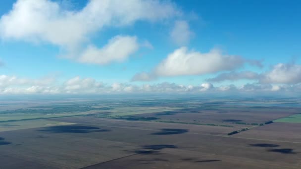 Champs Préparés Agriculture Paysage Terrain Caméra Déplace Sur Terrain Vue — Video