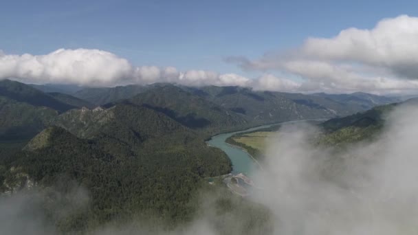 Altai Dağları Ndaki Yeşil Orman Vadisindeki Dağ Nehri Bulutların Üzerinde — Stok video