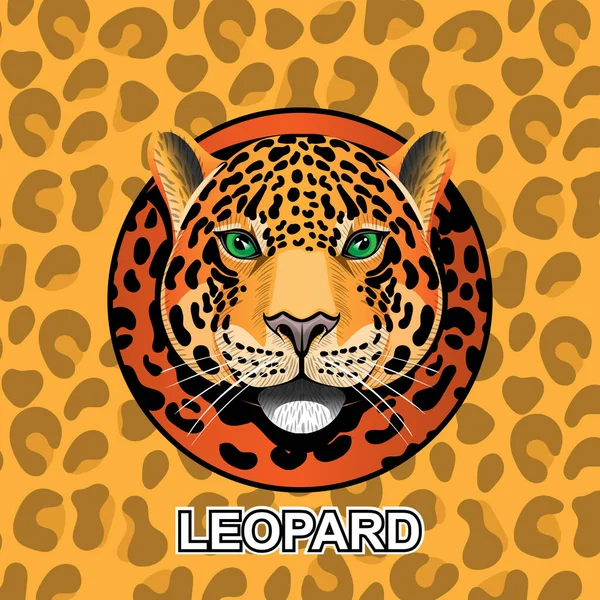 Leopard Head Body Texture Background — Stock Vector