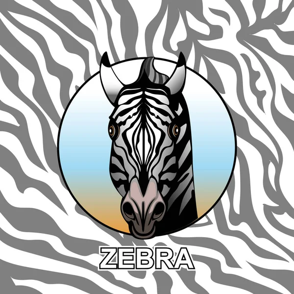 Zebra başı vücut dokusu arka planında.