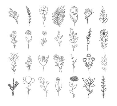 Çiçekler, botanik ve taslak vektör koleksiyonu bırakır.
