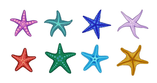 Estrella Mar Diferentes Estilos Colores Colorido Lindo — Archivo Imágenes Vectoriales