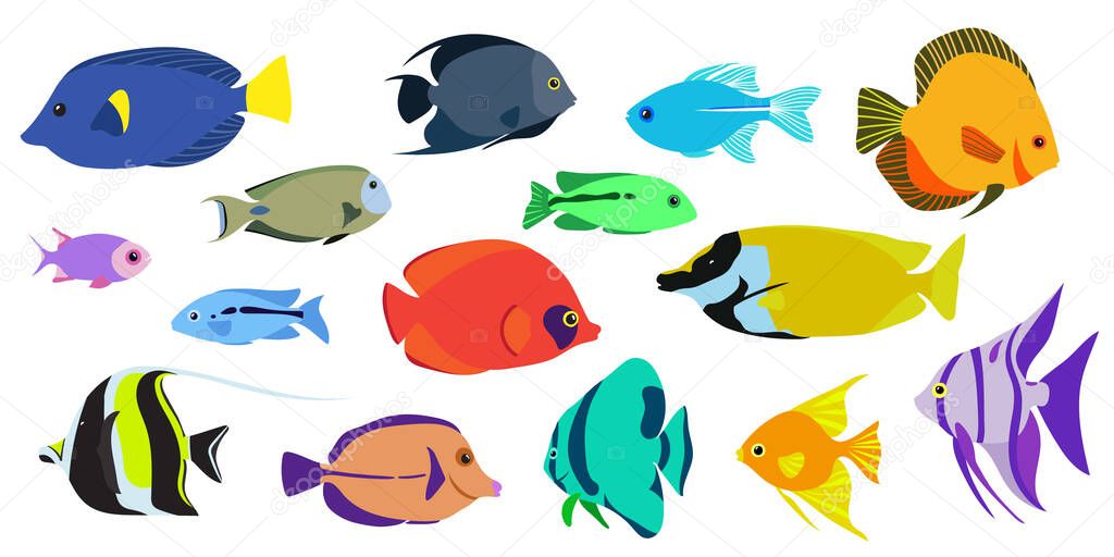 Colorful fishes set. Live colors ans different species.