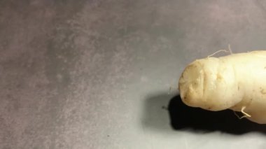 Süpermarkette Taze Beyaz Turp veya Daikon Turpu.