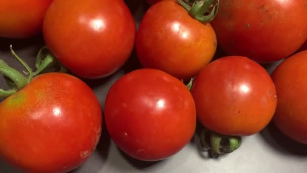 Kilka Świeżych Pomidorów — Wideo stockowe