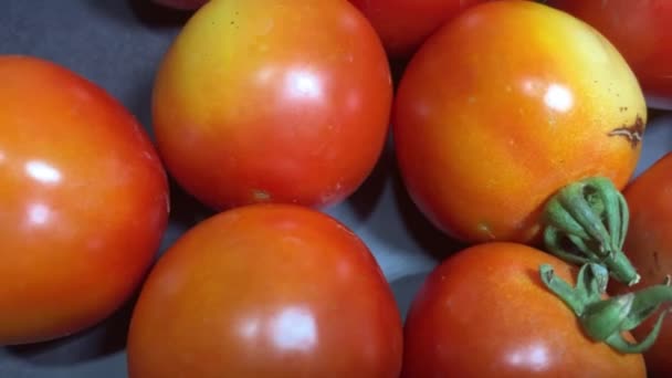 Bouquet Tomates Fraîches — Video