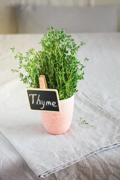 Bunch Fresh Thyme Cup Table — Foto de Stock